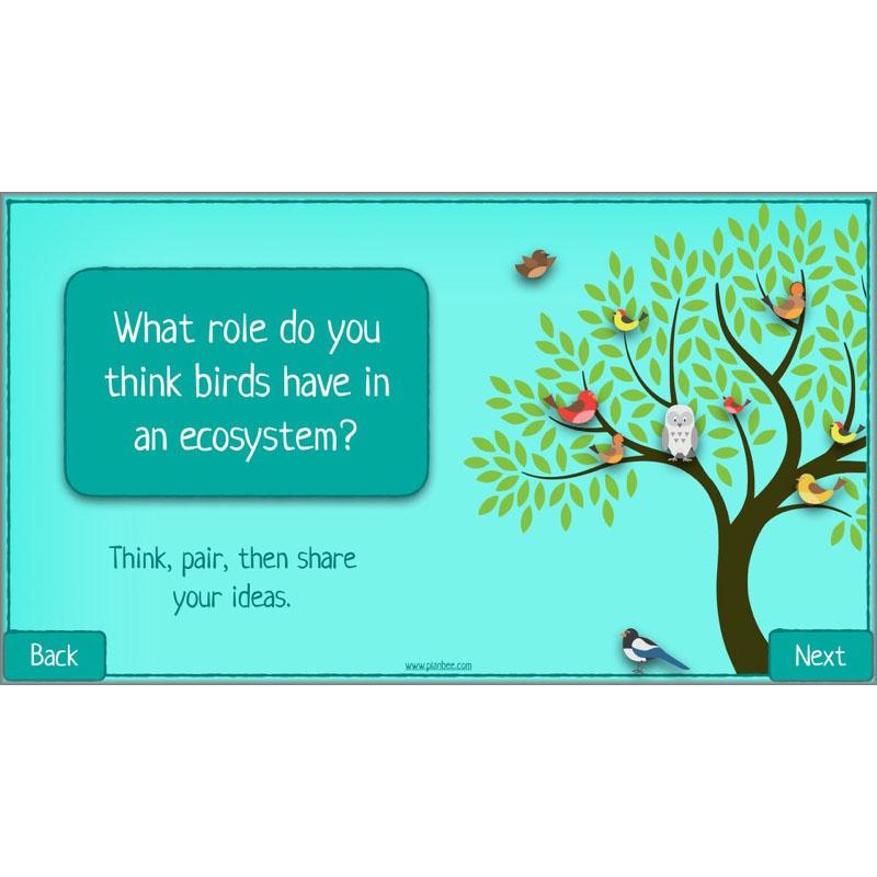 PlanBee Biodiversity KS2 ESR Lesson What is Biodiversity? by PlanBee