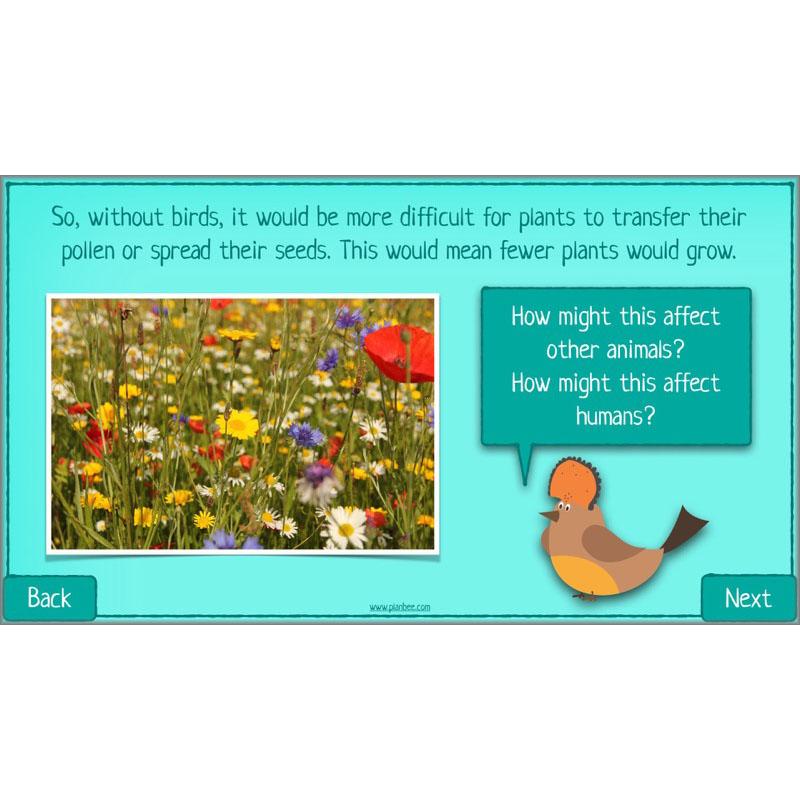 PlanBee Biodiversity KS2 ESR Lesson What is Biodiversity? by PlanBee