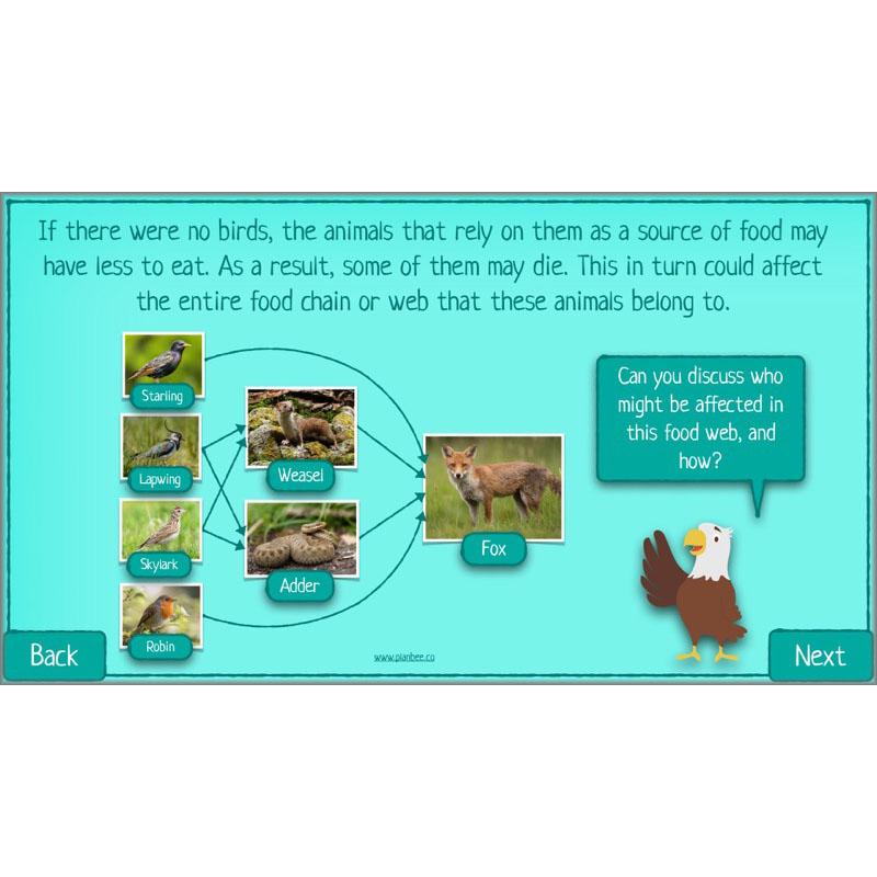 PlanBee Biodiversity KS2 ESR Lesson What is Biodiversity? by PlanBee