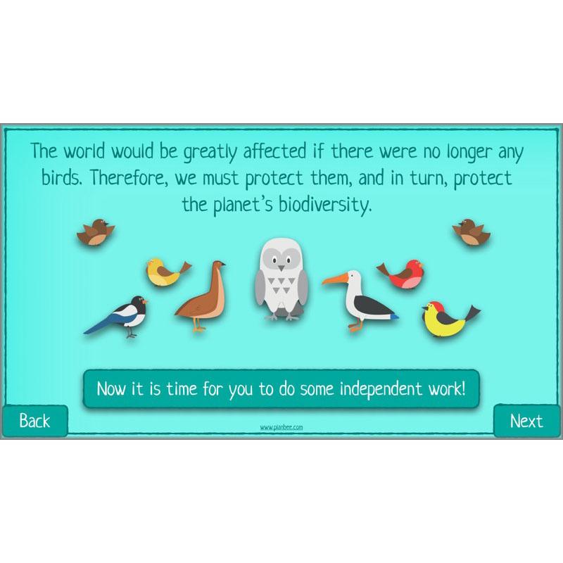 PlanBee Biodiversity KS2 ESR Lesson What is Biodiversity? by PlanBee