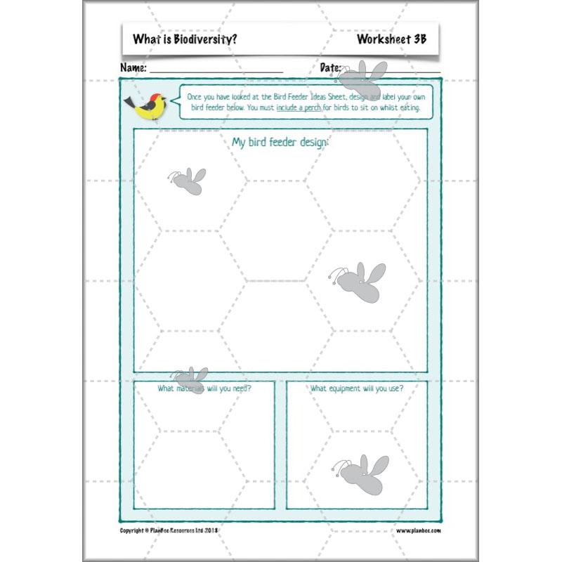 PlanBee Biodiversity KS2 ESR Lesson What is Biodiversity? by PlanBee