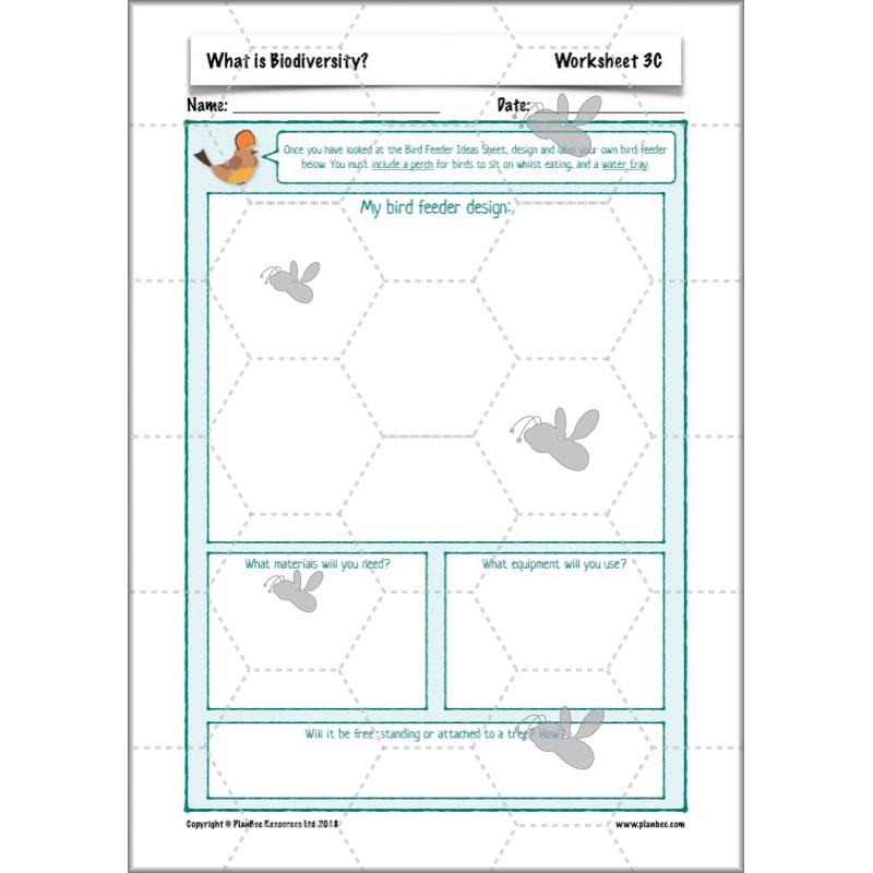 PlanBee Biodiversity KS2 ESR Lesson What is Biodiversity? by PlanBee