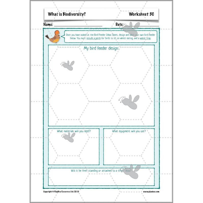 Biodiversity KS2 ESR Lesson What is Biodiversity? by PlanBee