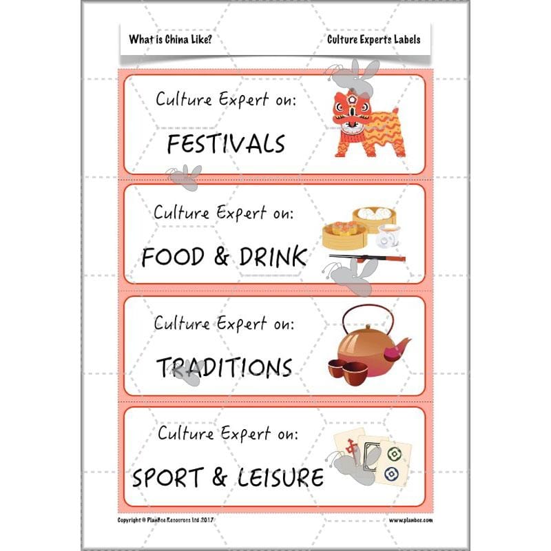 PlanBee China KS2 Geography Lesson Planning Pack for Year 5 & 6