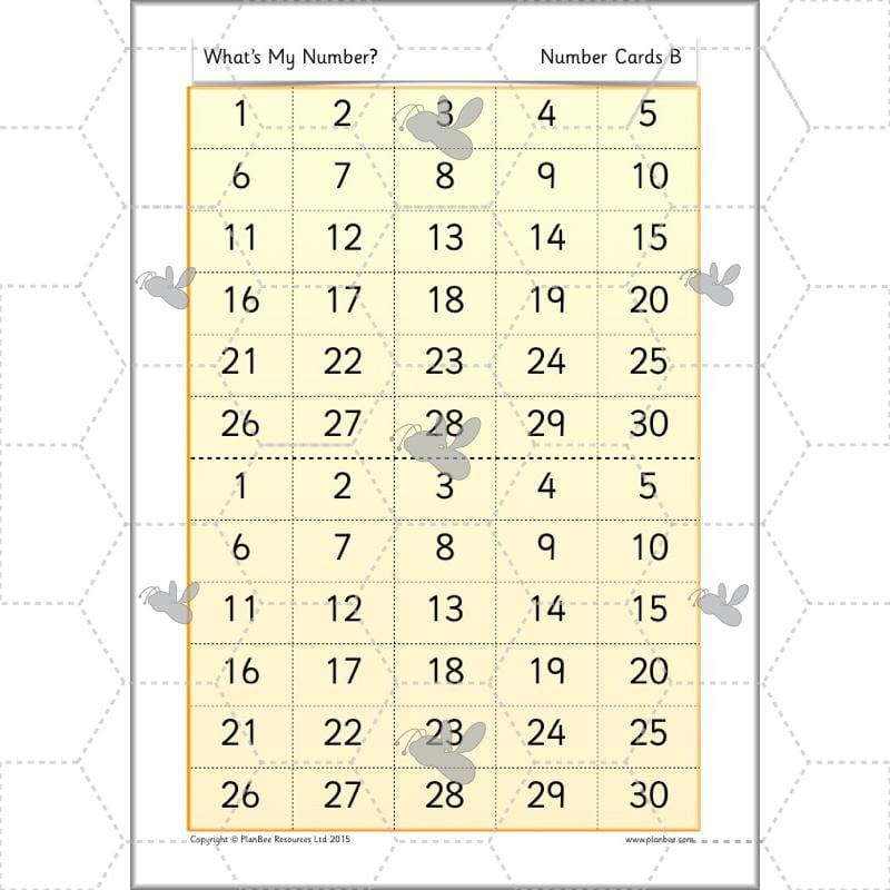 PlanBee What's My Number? Complete Year 2 Maths Lessons and Resources