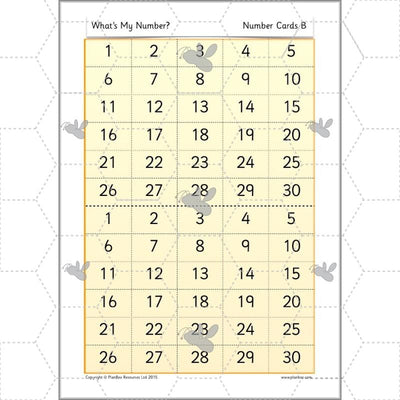 PlanBee What's My Number? Complete Year 2 Maths Lessons and Resources
