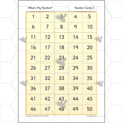 PlanBee What's My Number? Complete Year 2 Maths Lessons and Resources