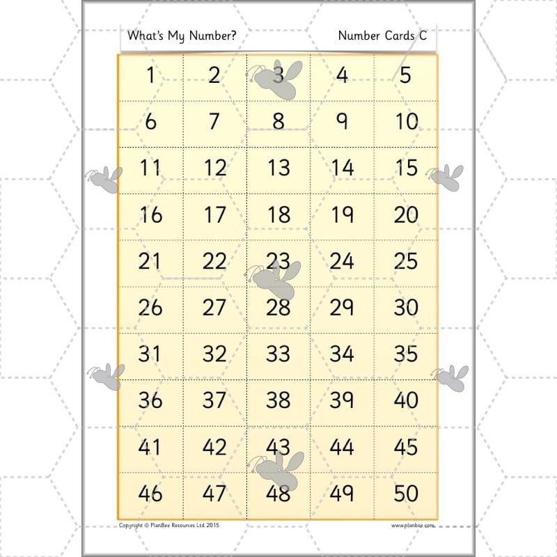 PlanBee What's My Number? Complete Year 2 Maths Lessons and Resources