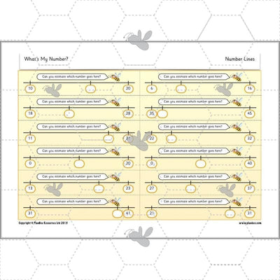PlanBee What's My Number? Complete Year 2 Maths Lessons and Resources