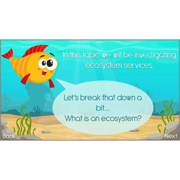 Lesson 1: What Are Ecosystem Services?