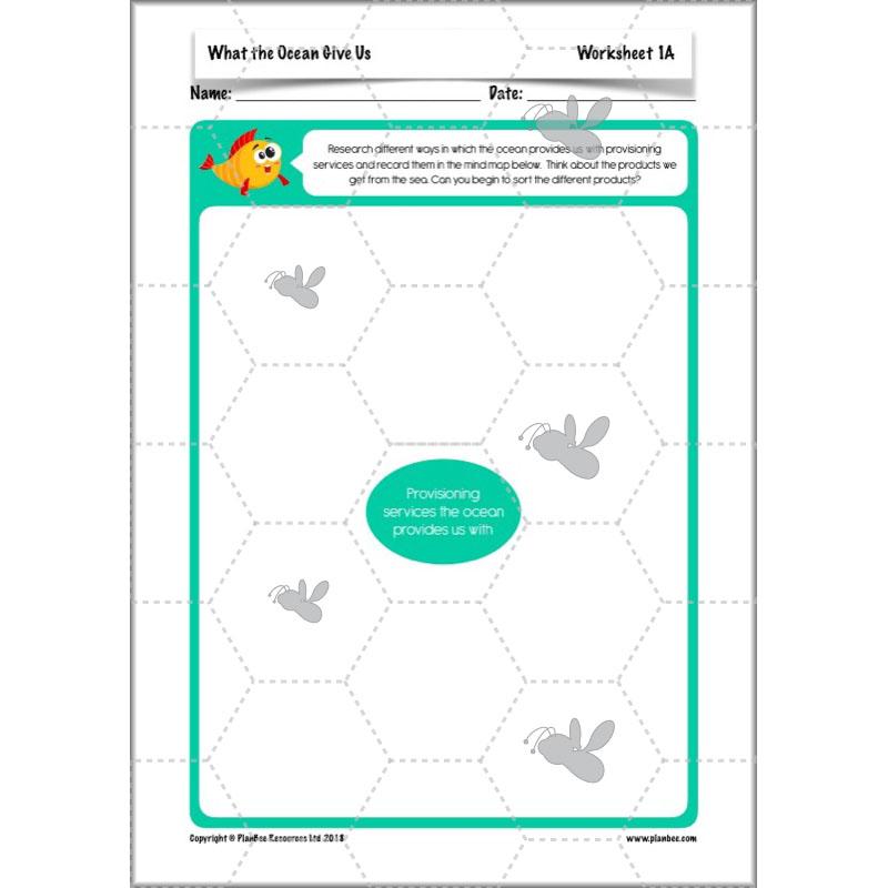 PlanBee Ocean Ecosystems KS2 ESR Lessons by PlanBee