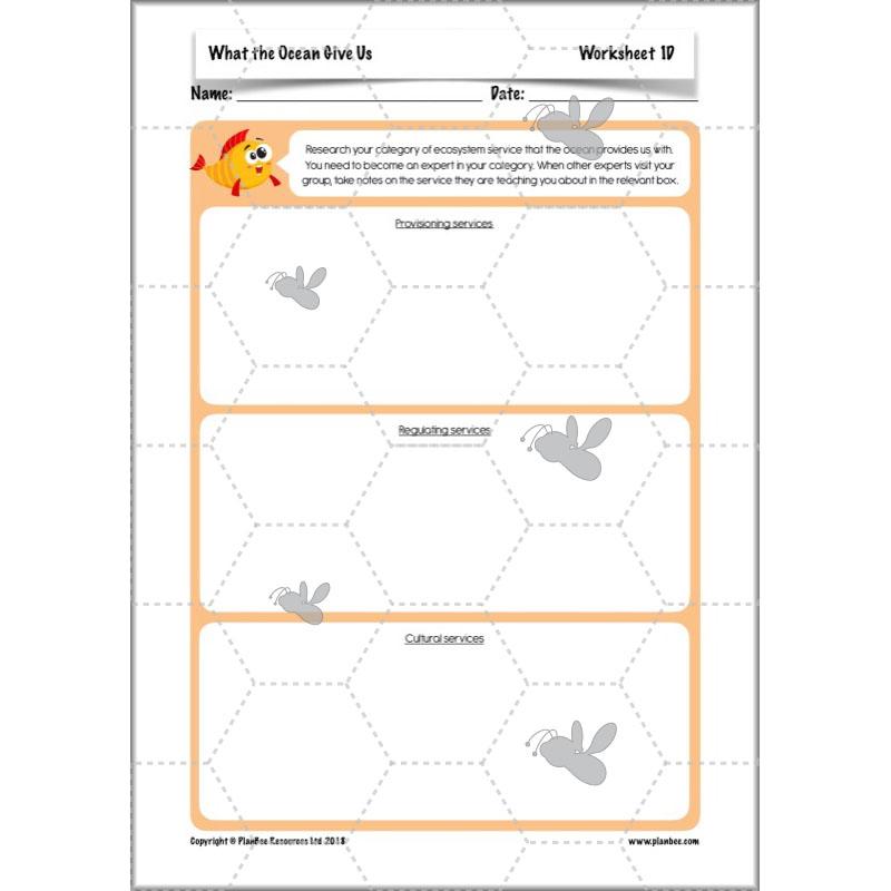 PlanBee Ocean Ecosystems KS2 ESR Lessons by PlanBee