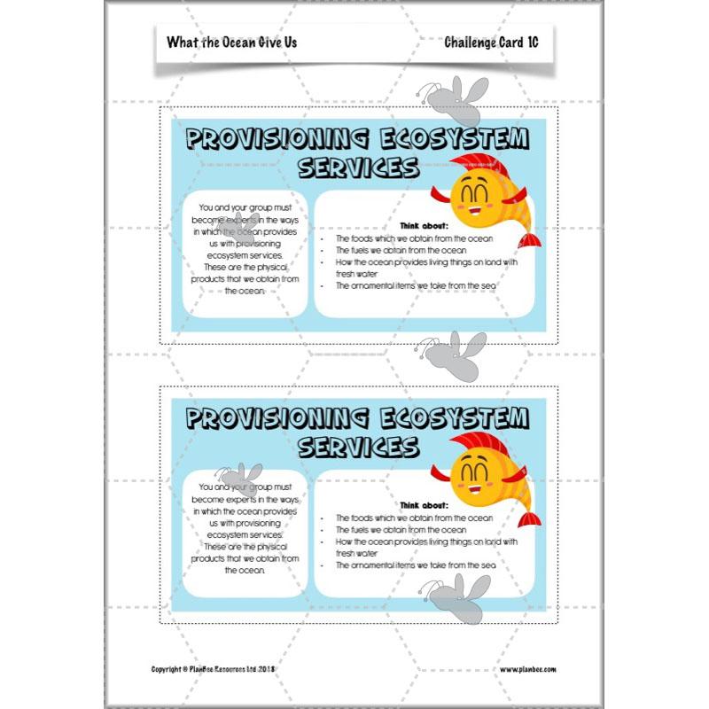 PlanBee Ocean Ecosystems KS2 ESR Lessons by PlanBee