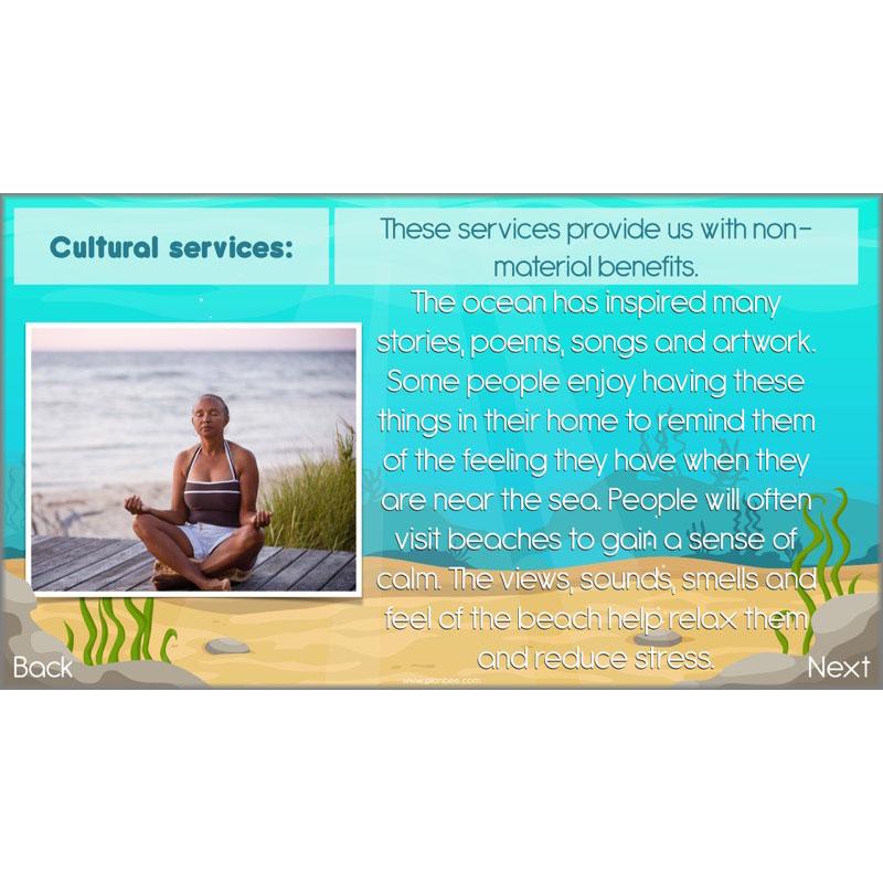 PlanBee Ocean Ecosystems KS2 ESR Lessons by PlanBee