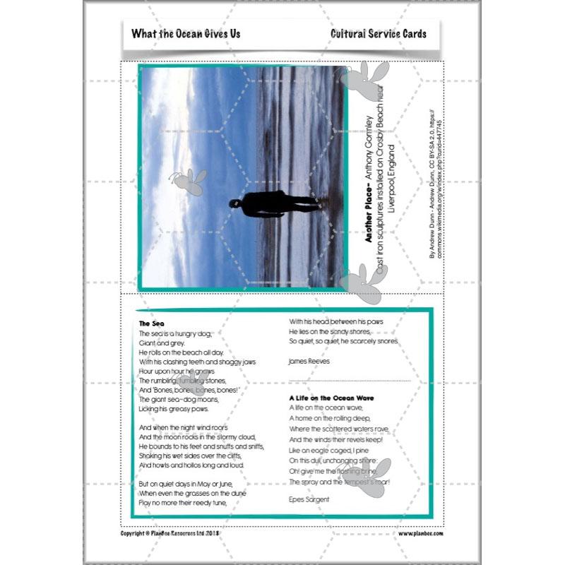 PlanBee Ocean Ecosystems KS2 ESR Lessons by PlanBee