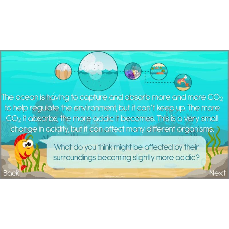 PlanBee Ocean Ecosystems KS2 ESR Lessons by PlanBee