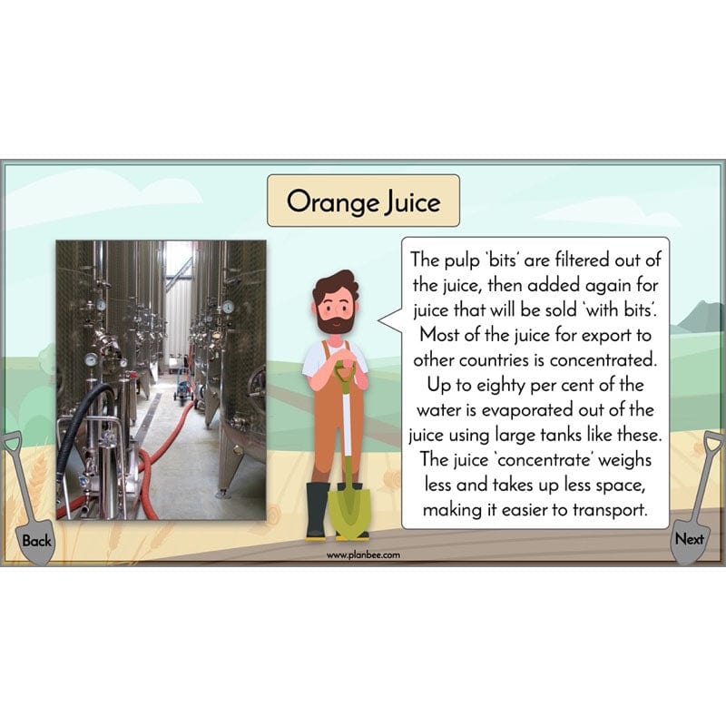 PlanBee Where Does Our Food Come From? KS2 Geography pack by PlanBee