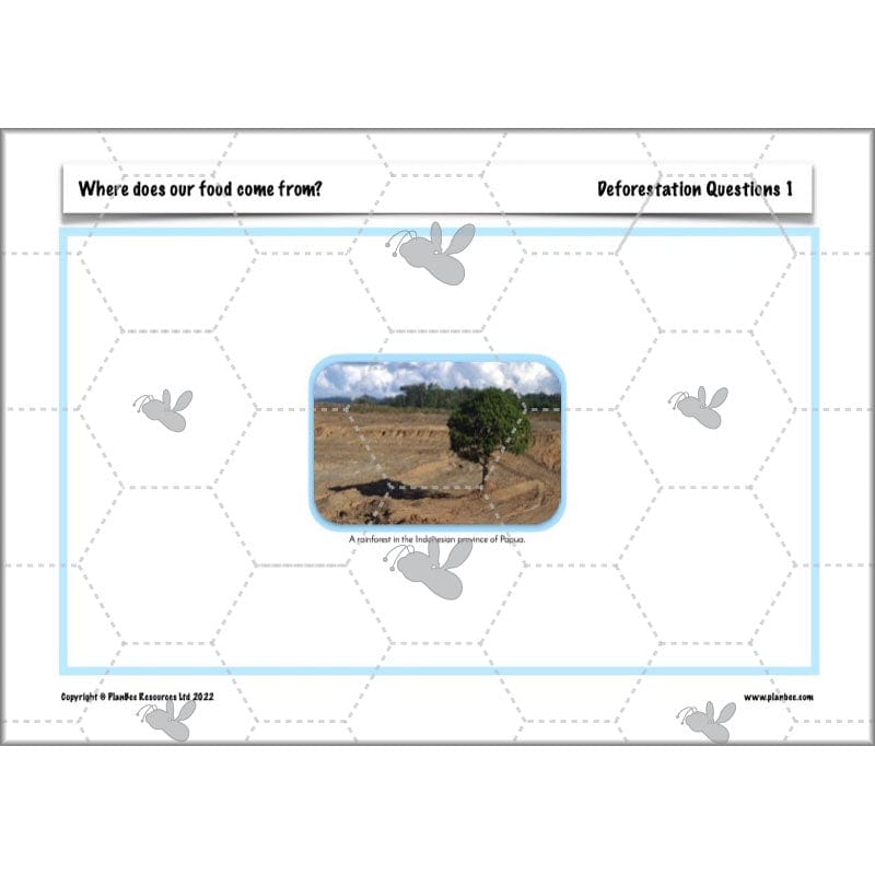 PlanBee Where Does Our Food Come From? KS2 Geography pack by PlanBee