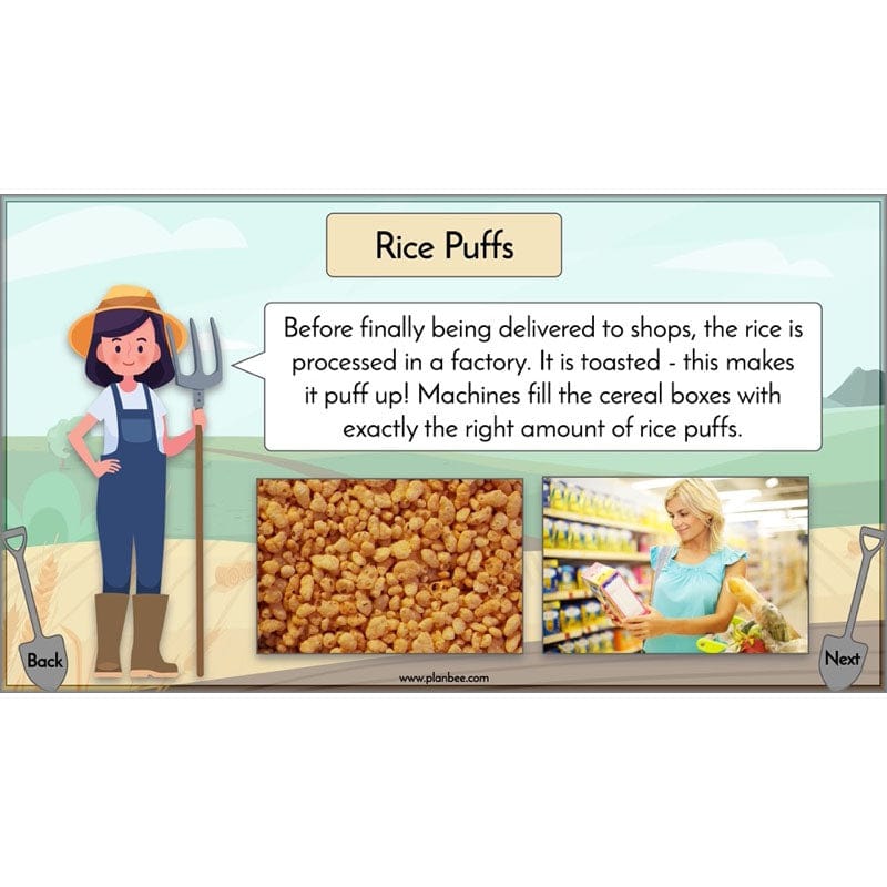 PlanBee Where Does Our Food Come From? KS2 Geography pack by PlanBee