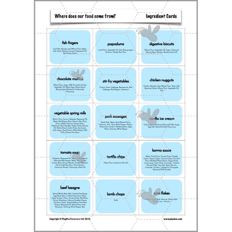 PlanBee Where Does Our Food Come From? KS2 Geography pack by PlanBee