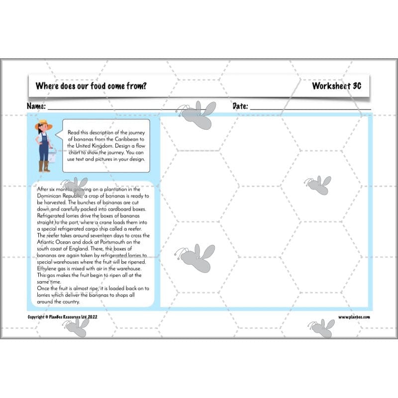 PlanBee Where Does Our Food Come From? KS2 Geography pack by PlanBee