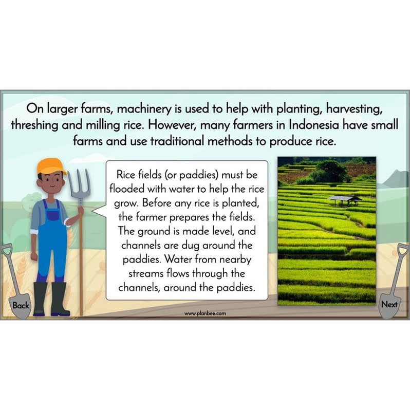 Where Does Our Food Come From? KS2 Geography pack by PlanBee