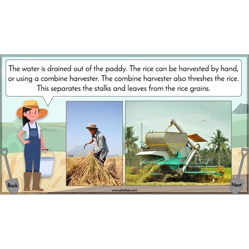 PlanBee Where Does Our Food Come From? KS2 Geography pack by PlanBee