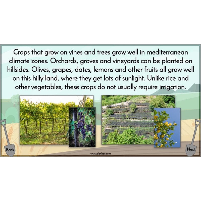 PlanBee Where Does Our Food Come From? KS2 Geography pack by PlanBee