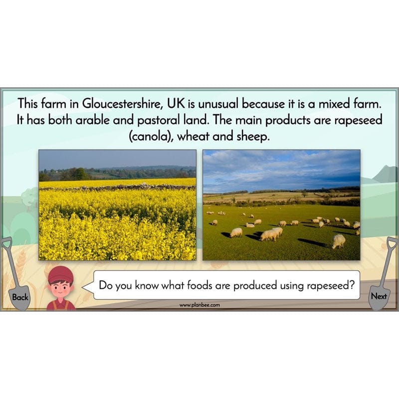 PlanBee Where Does Our Food Come From? KS2 Geography pack by PlanBee