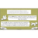 WW1 White Feather Diary Entries KS2 English Pack by PlanBee