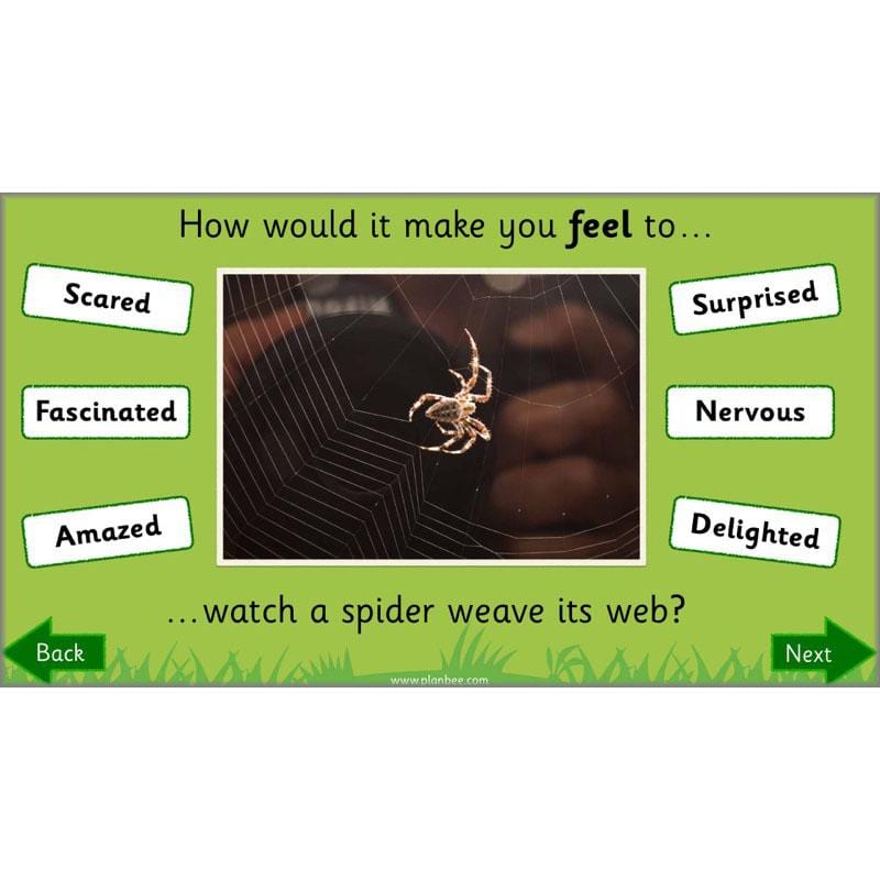 PlanBee Why is Nature Special? KS1 ESR Lessons | PlanBee