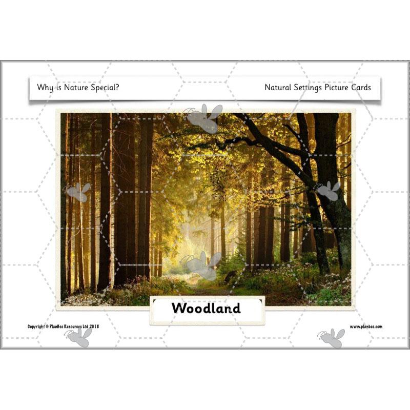 PlanBee Why is Nature Special? KS1 ESR Lessons | PlanBee
