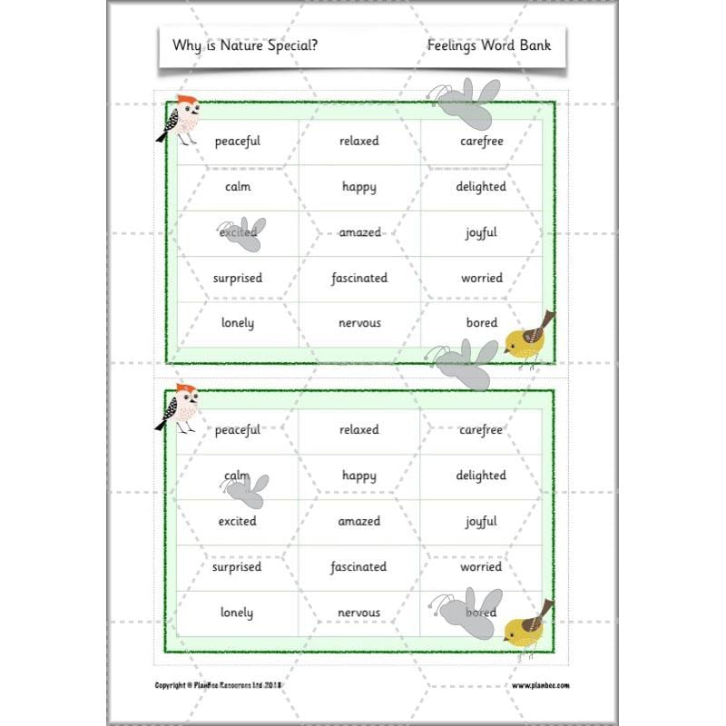 PlanBee Why is Nature Special? KS1 ESR Lessons | PlanBee