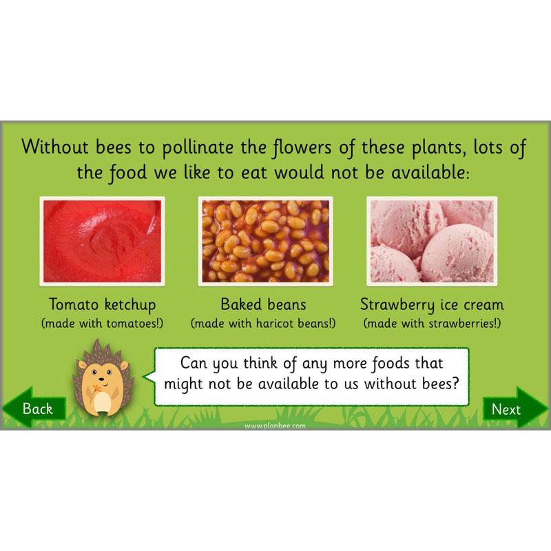 PlanBee Why is Nature Special? KS1 ESR Lessons | PlanBee