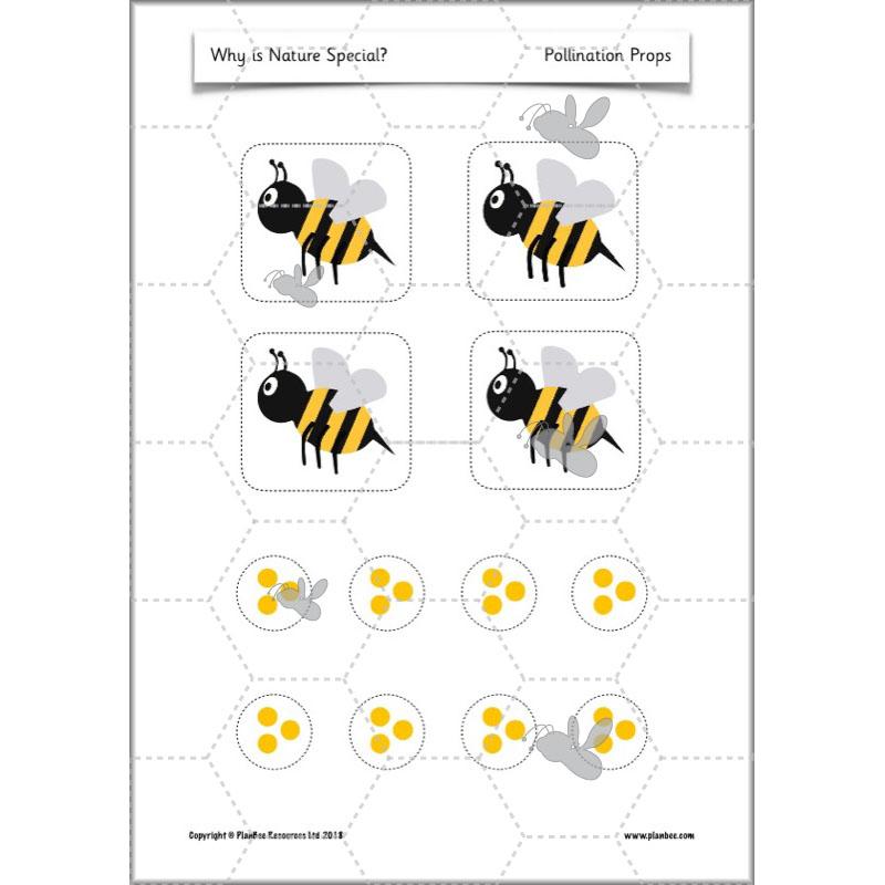 PlanBee Why is Nature Special? KS1 ESR Lessons | PlanBee
