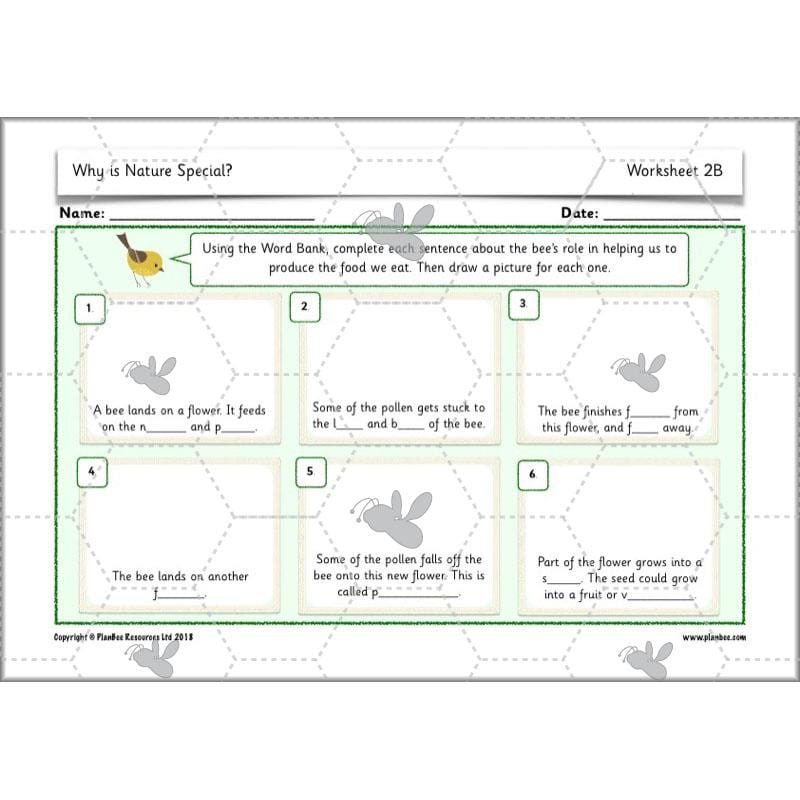 PlanBee Why is Nature Special? KS1 ESR Lessons | PlanBee