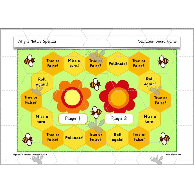 PlanBee Why is Nature Special? KS1 ESR Lessons | PlanBee