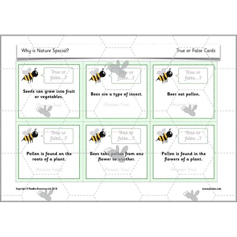PlanBee Why is Nature Special? KS1 ESR Lessons | PlanBee