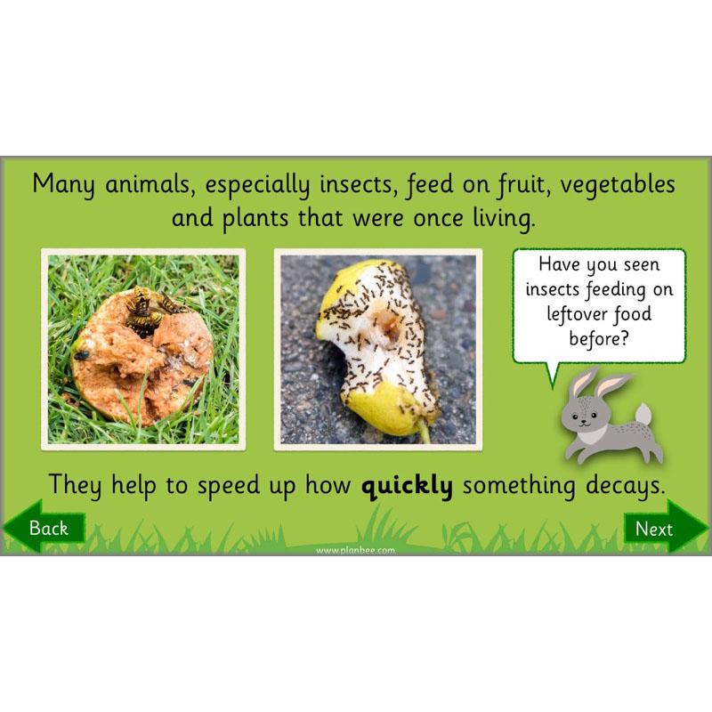 PlanBee Why is Nature Special? KS1 ESR Lessons | PlanBee