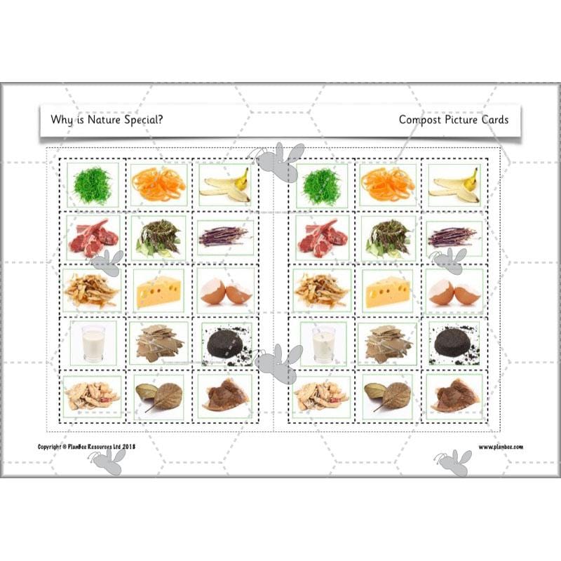 PlanBee Why is Nature Special? KS1 ESR Lessons | PlanBee