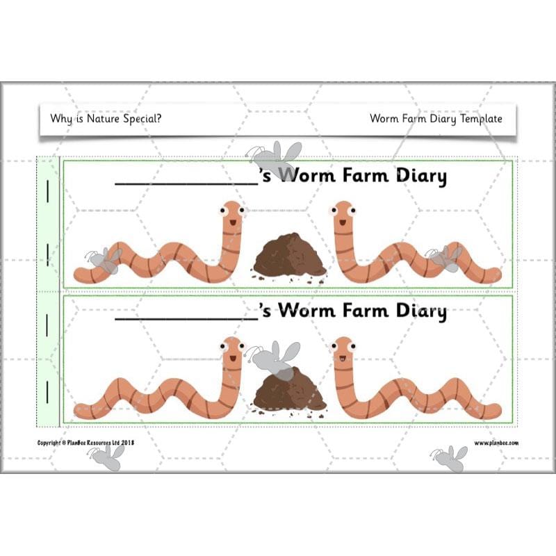 PlanBee Why is Nature Special? KS1 ESR Lessons | PlanBee