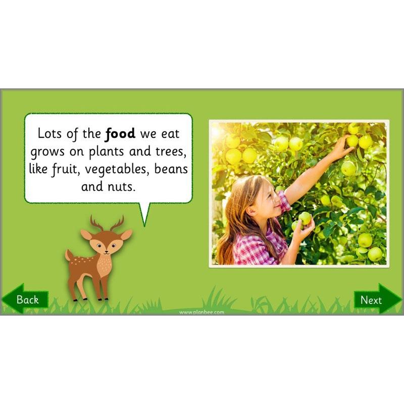 PlanBee Why is Nature Special? KS1 ESR Lessons | PlanBee