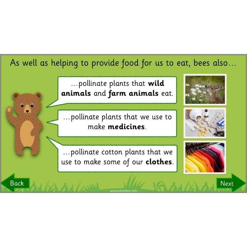 PlanBee Why is Nature Special? KS1 ESR Lessons | PlanBee