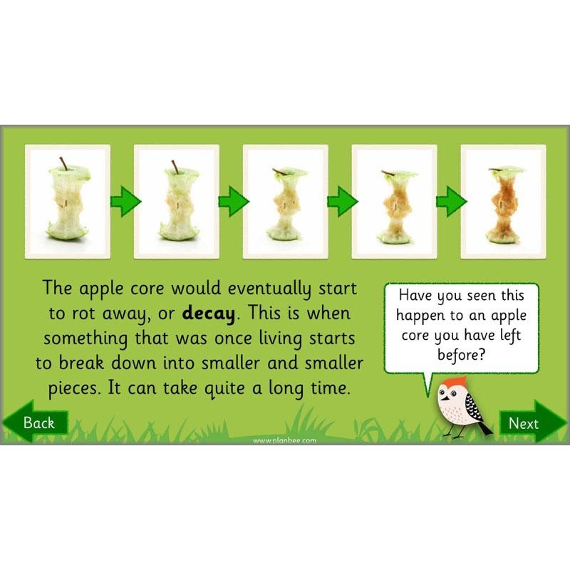 PlanBee Why is Nature Special? KS1 ESR Lessons | PlanBee