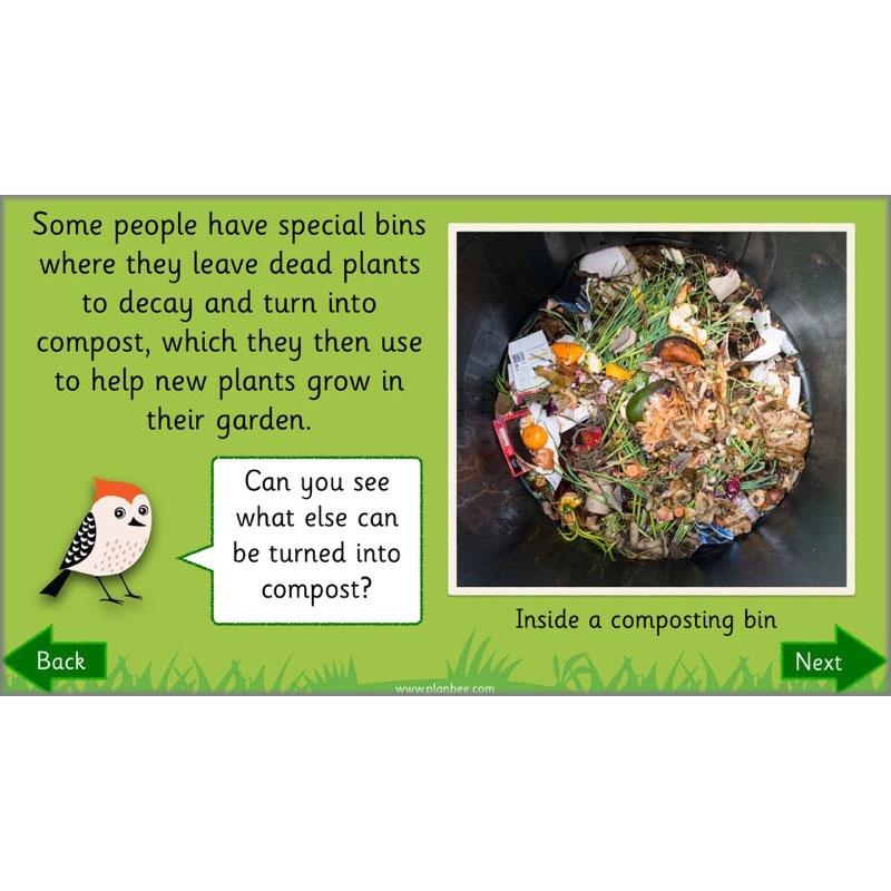 PlanBee Why is Nature Special? KS1 ESR Lessons | PlanBee