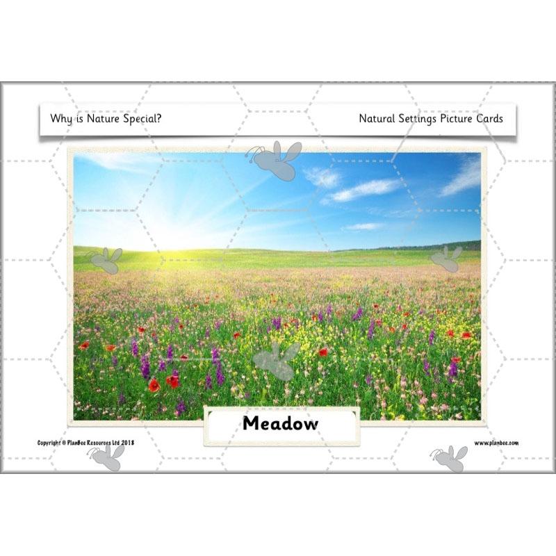 PlanBee Why is Nature Special? KS1 ESR Lessons | PlanBee
