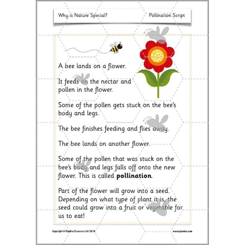 PlanBee Why is Nature Special? KS1 ESR Lessons | PlanBee