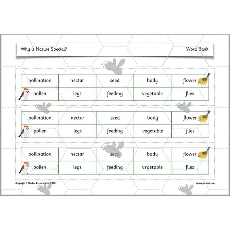 PlanBee Why is Nature Special? KS1 ESR Lessons | PlanBee