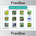 PlanBee Free Wildflower Identification UK Sheet by PlanBee