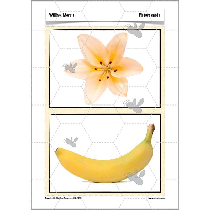 PlanBee William Morris KS2 Art Lesson Plan Packs for Year 3 & Year 4